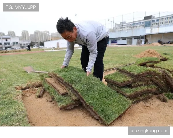 草坪场地规则拆解：标准尺寸与维护细节全解析
