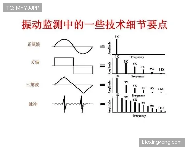 帕尔默与迪马利亚左脚技术细节及实战应用对比分析